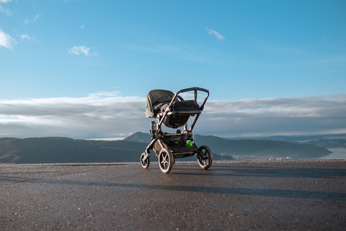 best baby stroller lightweight fold