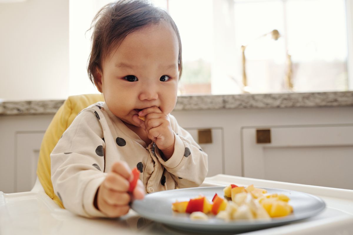 Do you need a baby food maker